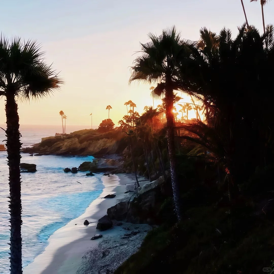 WeChat|留学风|高级文艺感女头＋壁纸