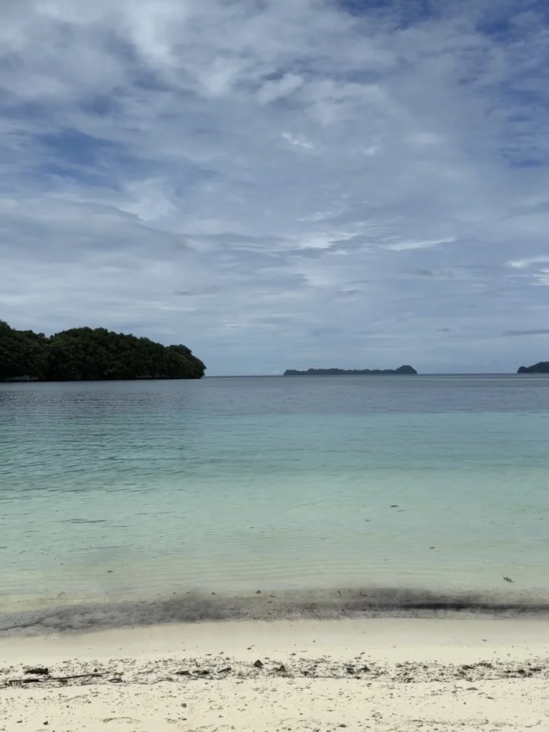 Plog先发⋆.˚⭒⋆.˚Palau🇵🇼