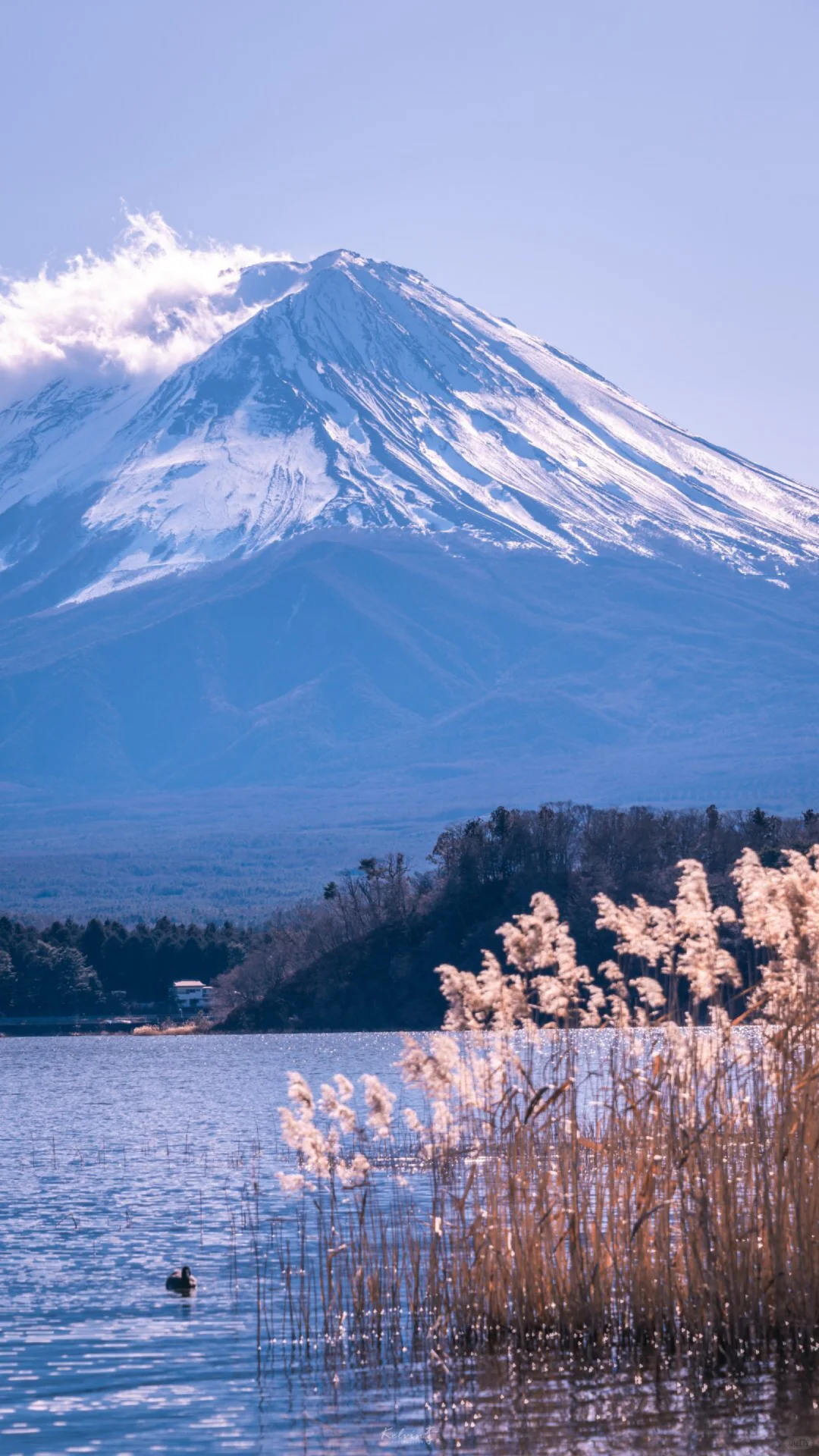 富士山下🗻wallpaper