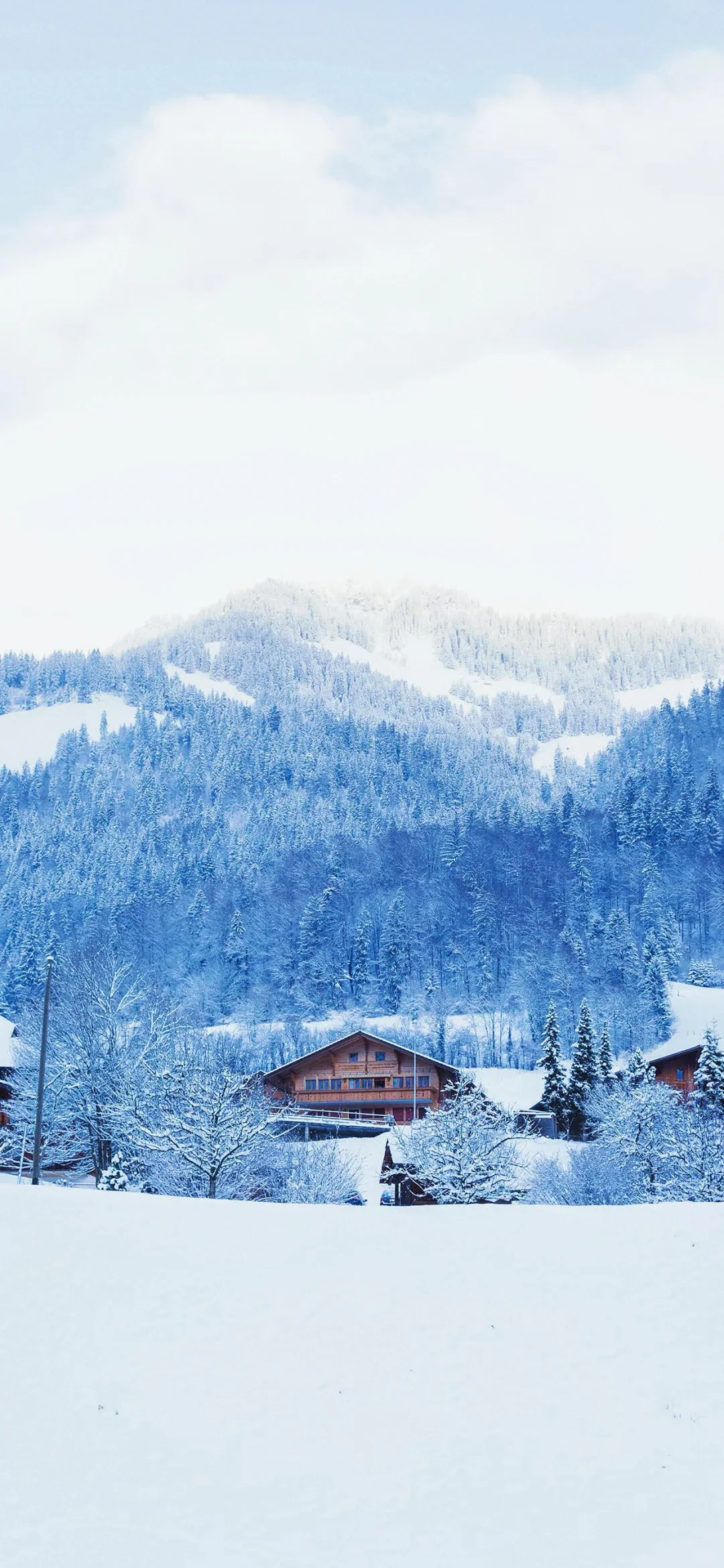 Wallpaper｜纯白世界