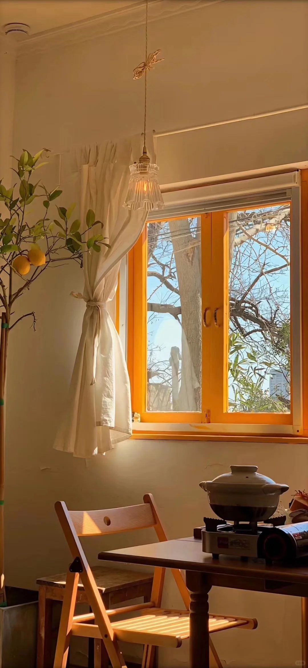 秋日限定壁纸上新