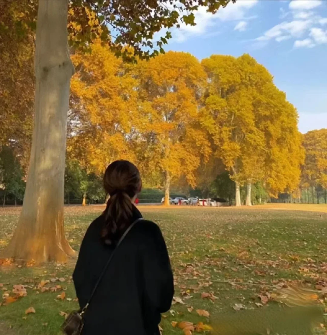 Share | 氛围感不露脸女头