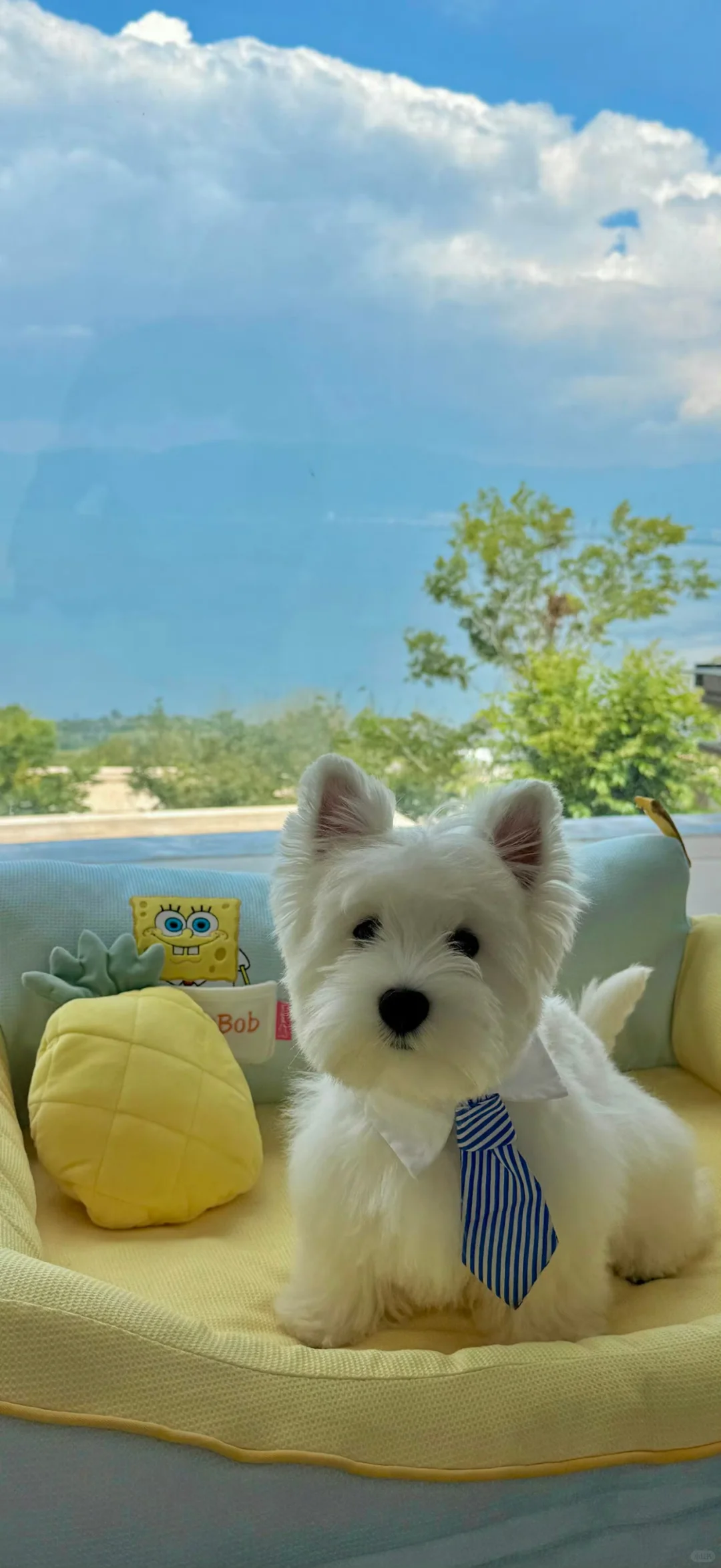 敲喜欢的、氛围感壁纸、治愈系壁纸、敲喜欢的