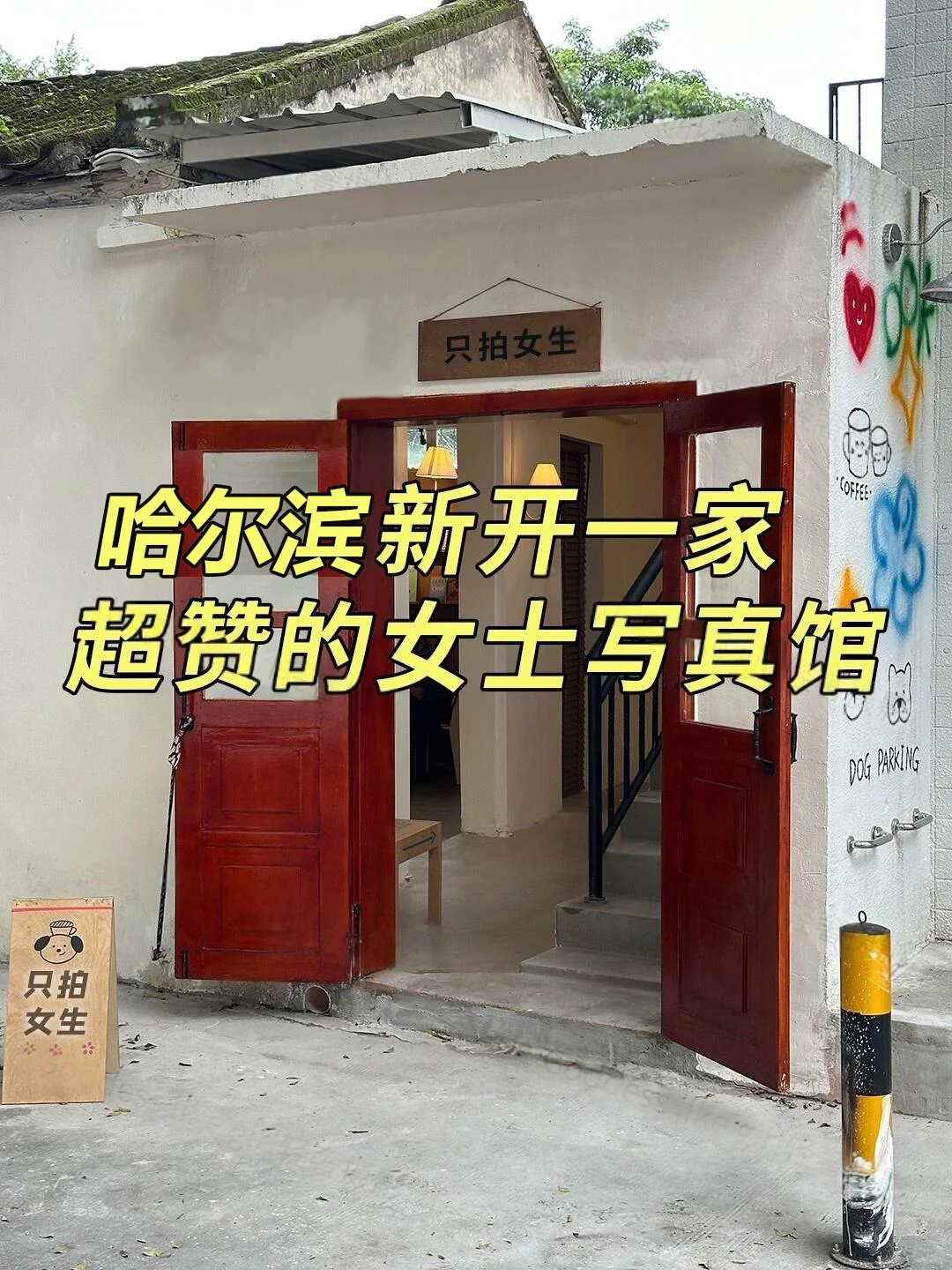 哈市一家超赞的女士写真馆正式营业啦！！！