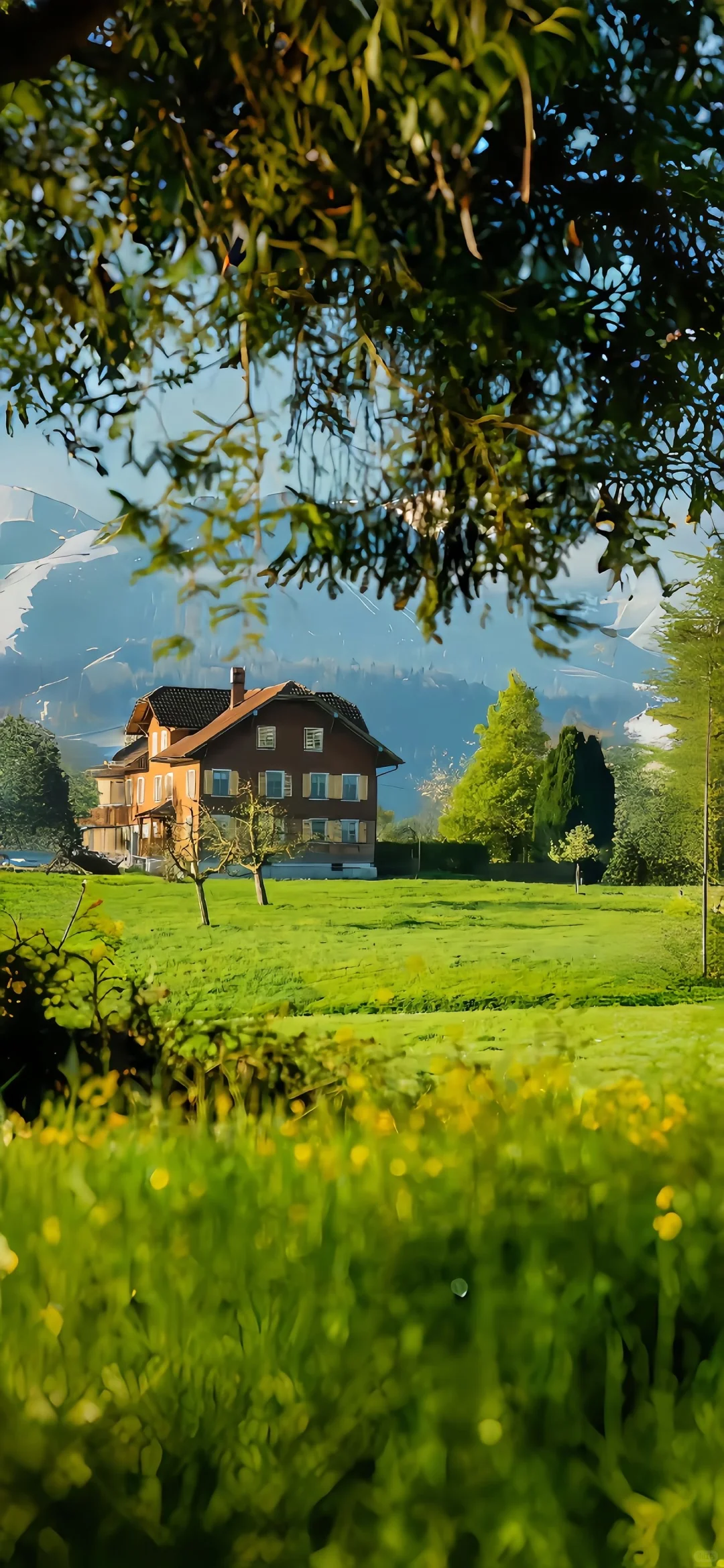 share丨生机盎然的壁纸