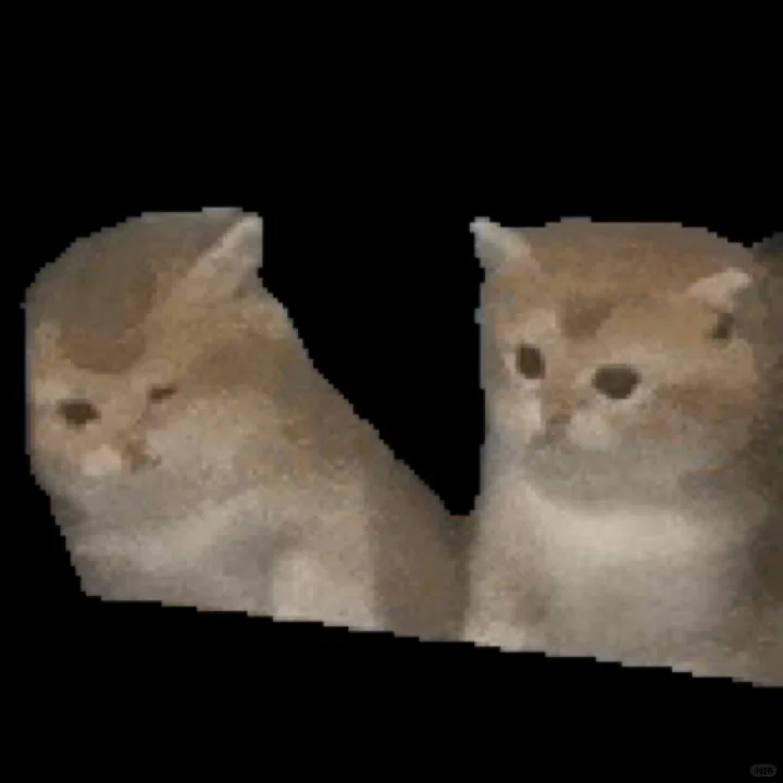 抽象猫meme动态表情包分享 (｡ì _ í｡)