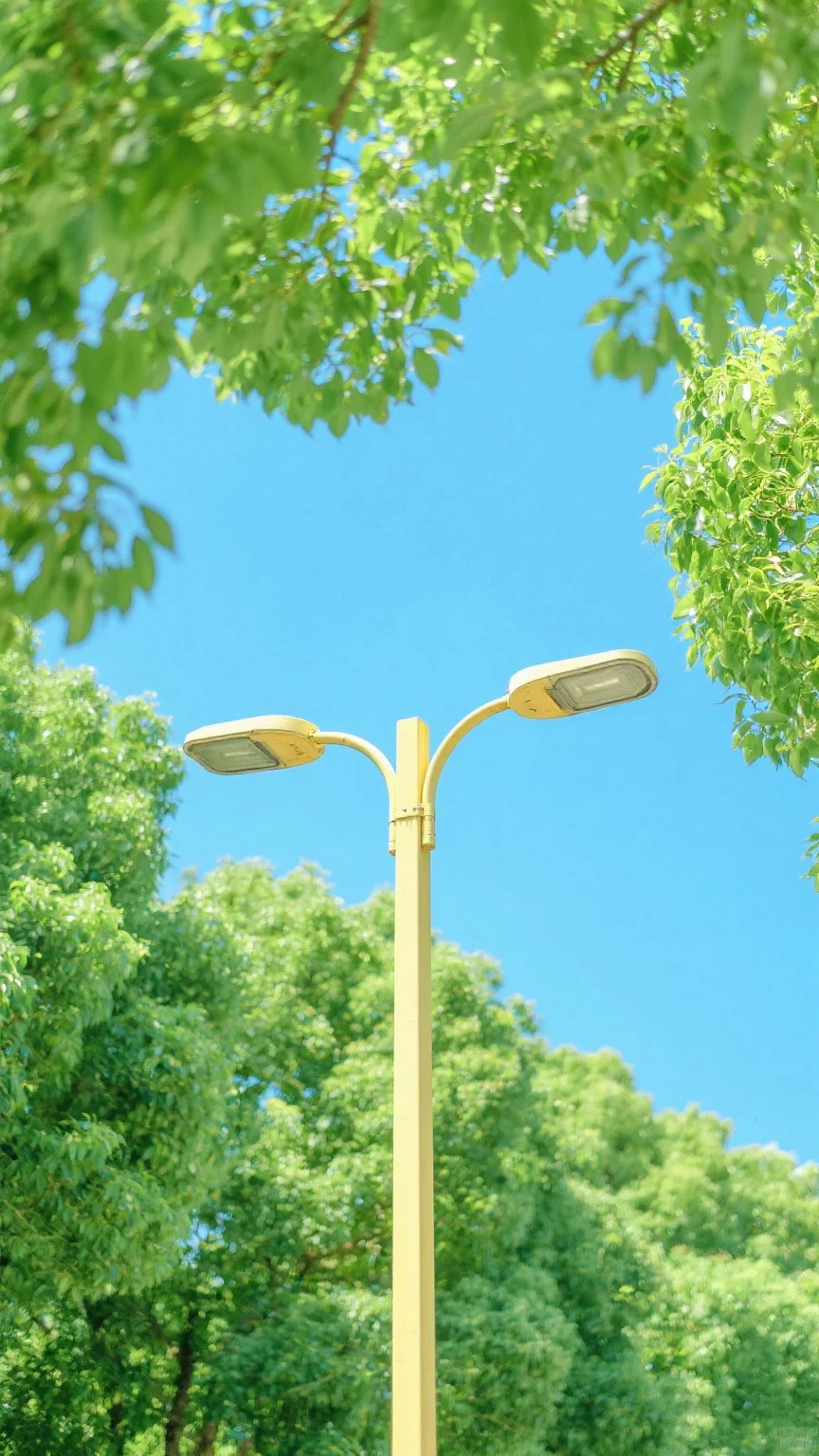 🎐午后时光｜读你千遍也不厌倦