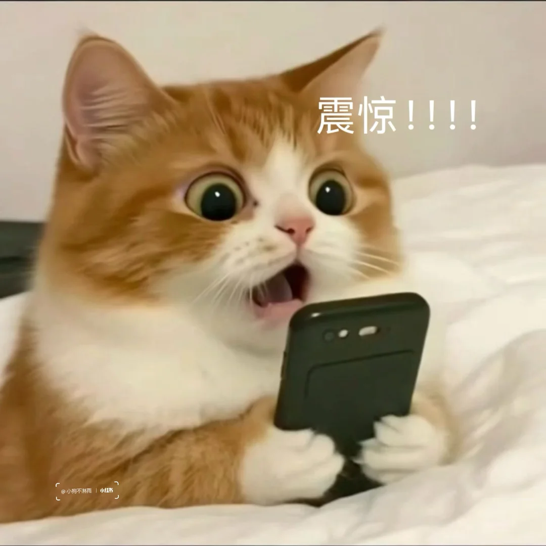 会动的猫猫表情包也太可爱了……