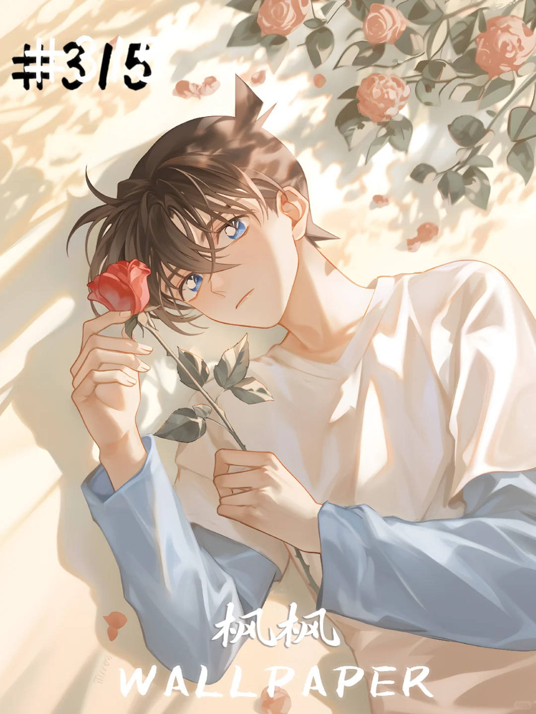 315|枫枫壁纸|新一