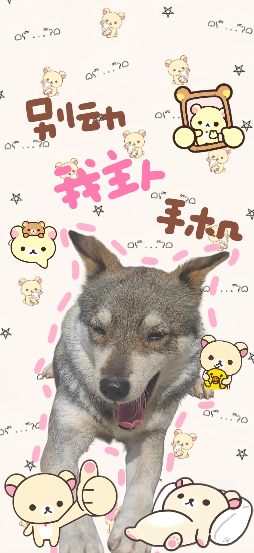 小狗壁纸｜人，不要动我手机，OK！