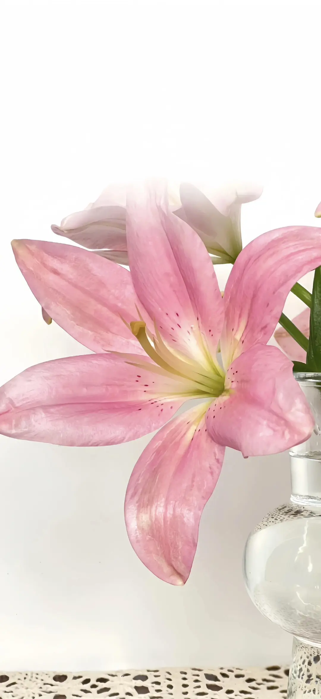 壁纸、你喜欢的壁纸