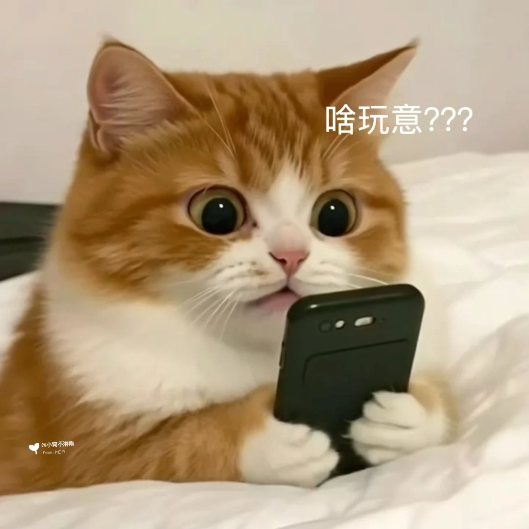 会动的猫猫表情包也太可爱了……