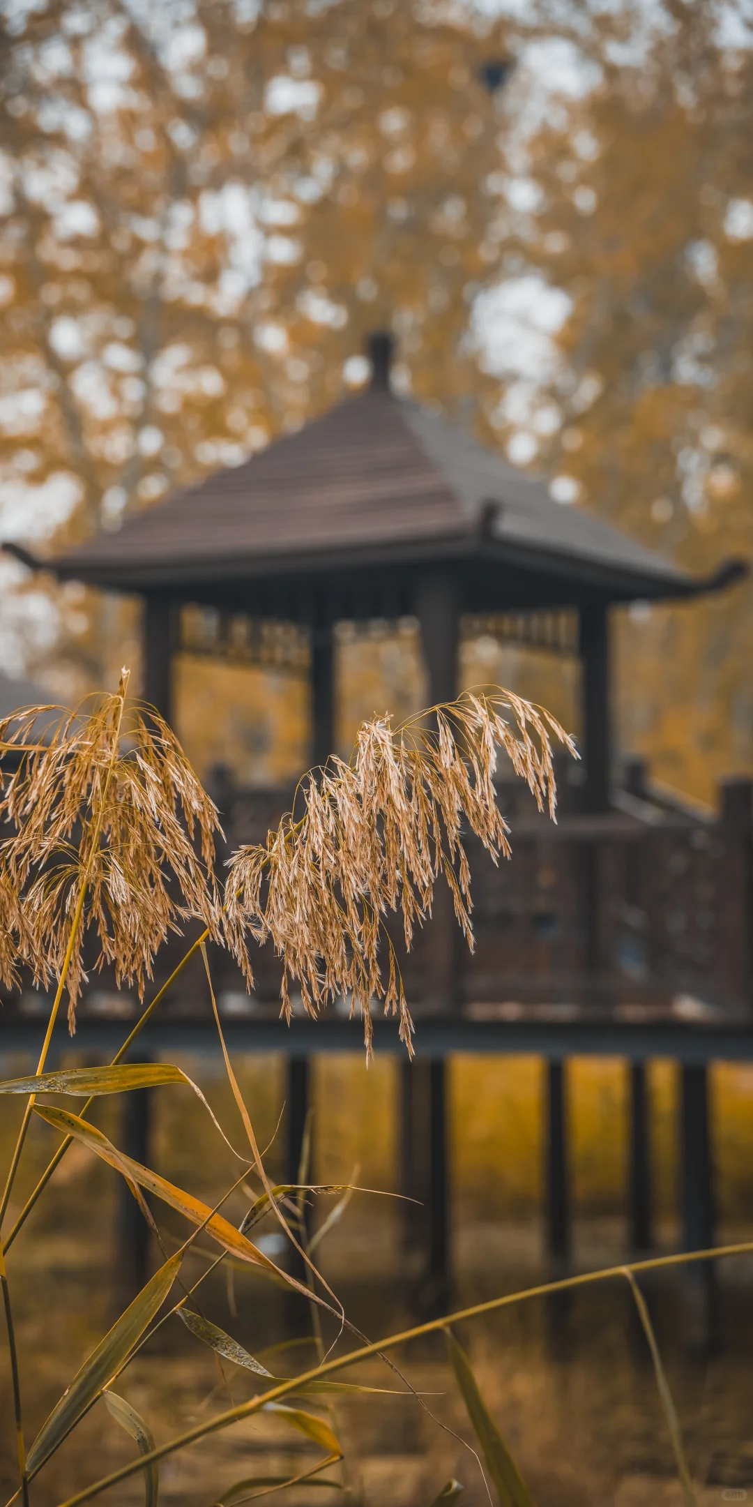 阴天，一份壁纸已送达