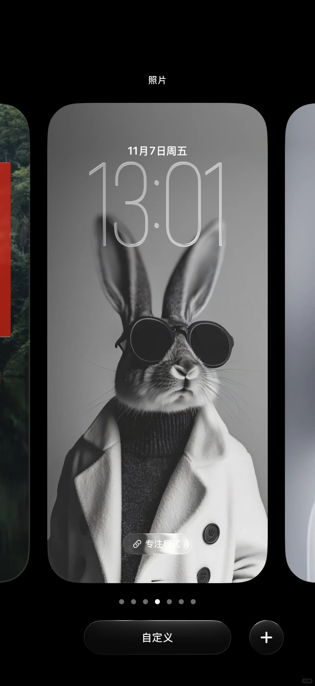 每日分享｜灰色系👀兔