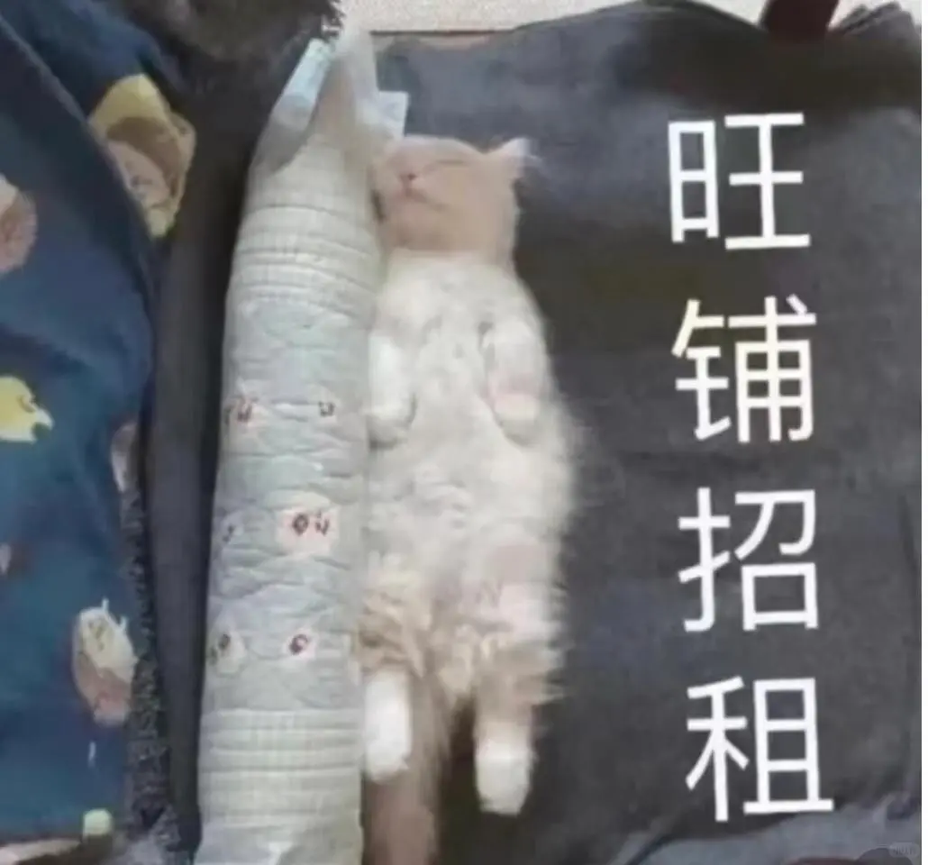甜甜的猫猫表情包又来啦！