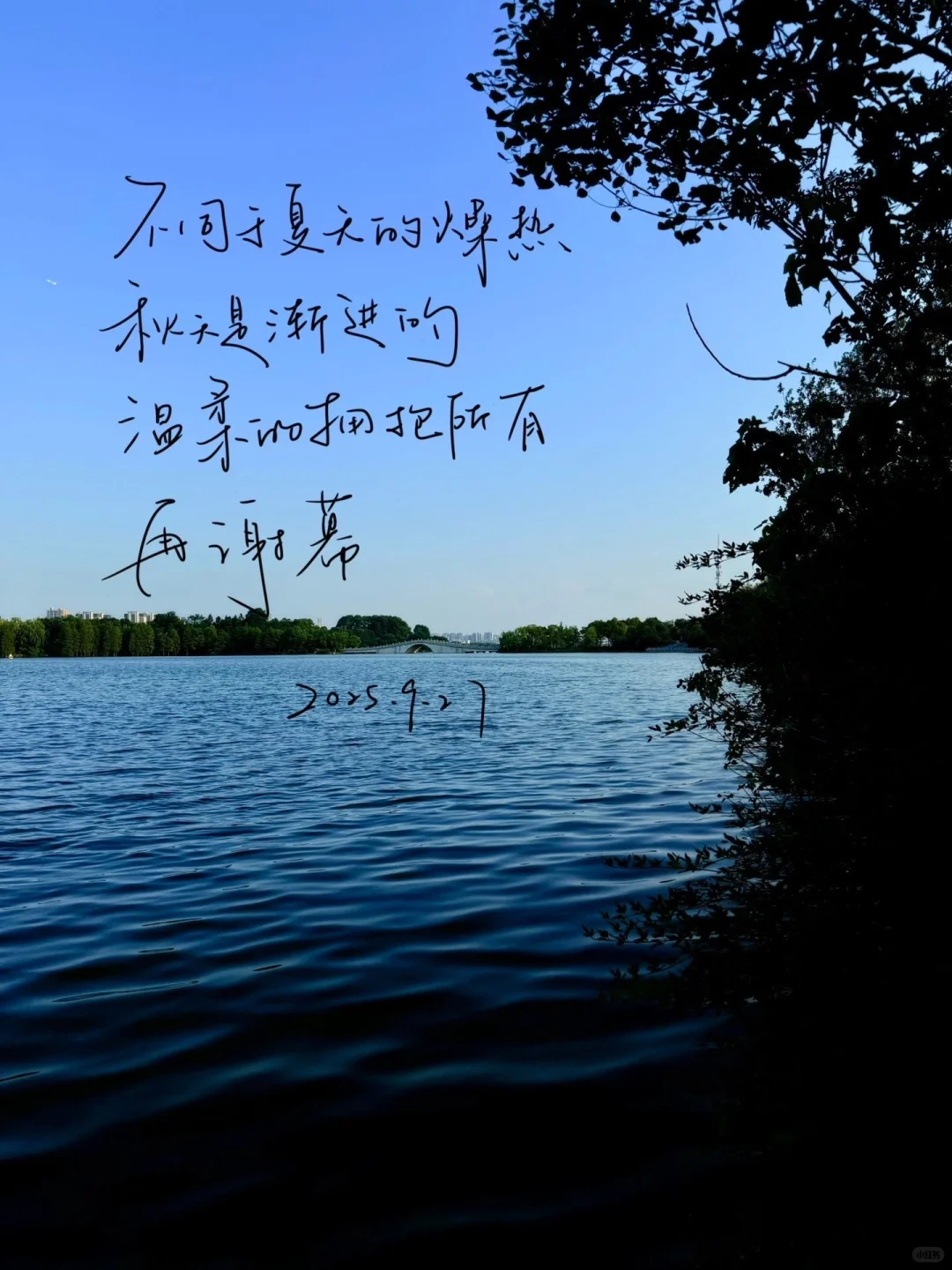 Share/顺顺的生活/壁纸