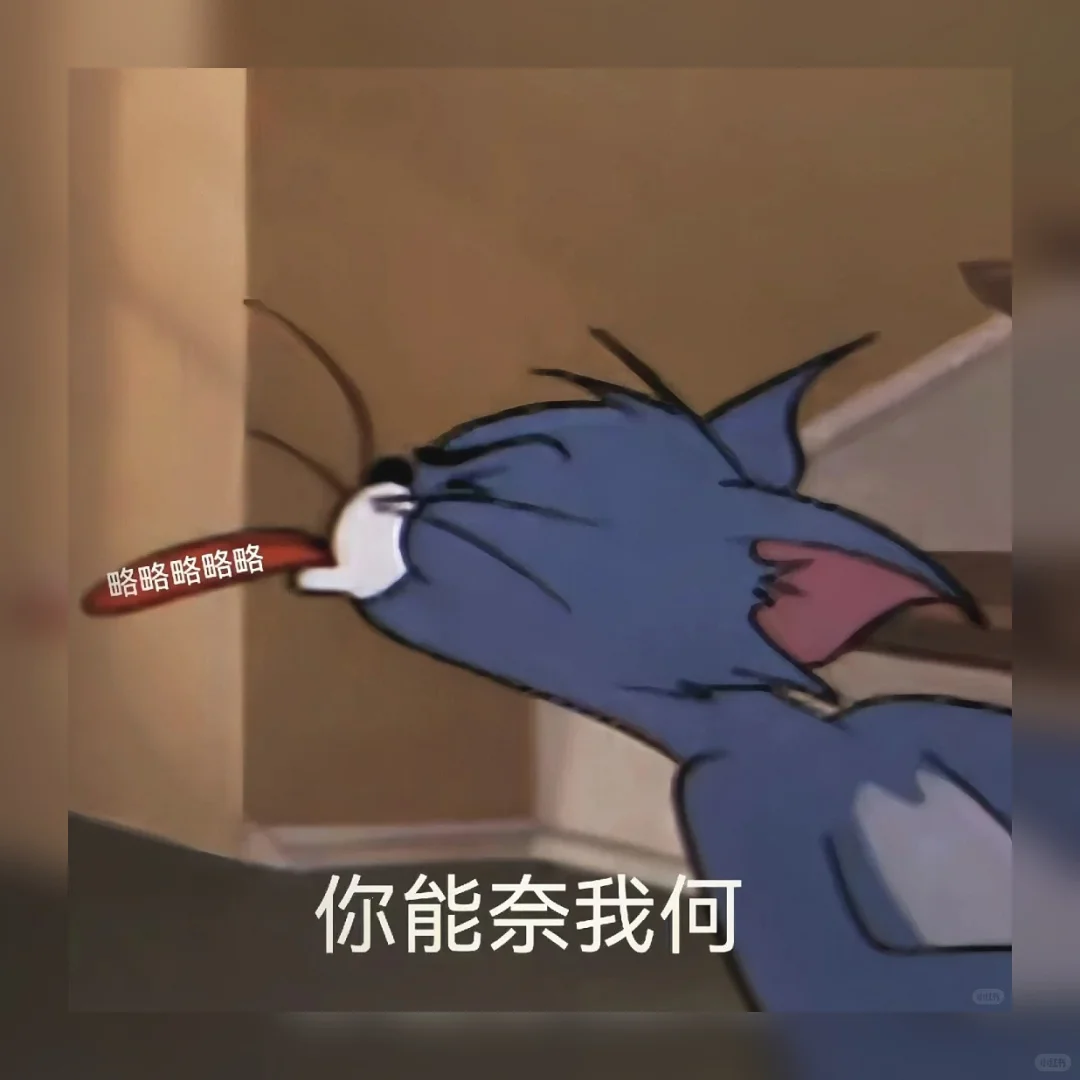 艾特闺蜜！这50个笑不活的表情包我存了｜速