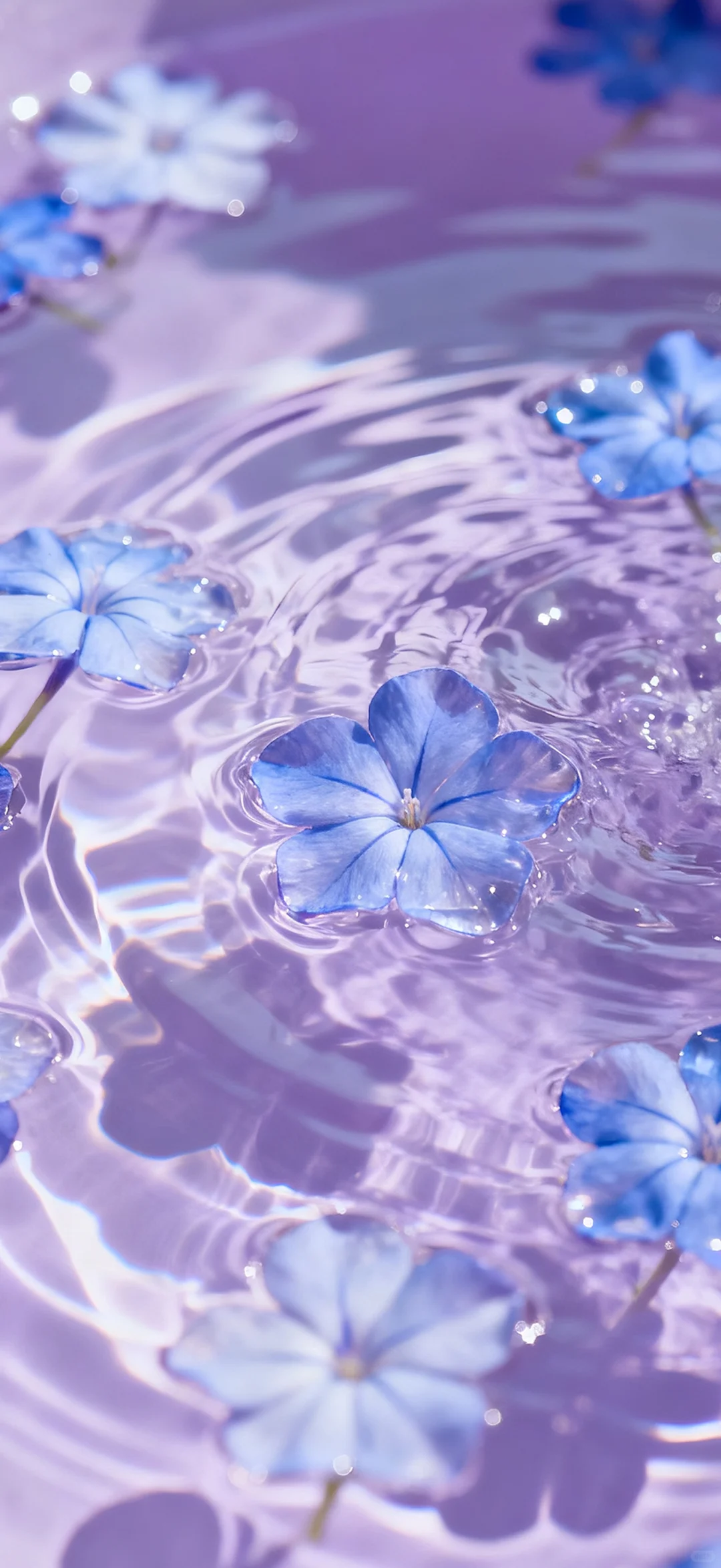 iOS26景深3D高清壁纸来啦～🪷🍀