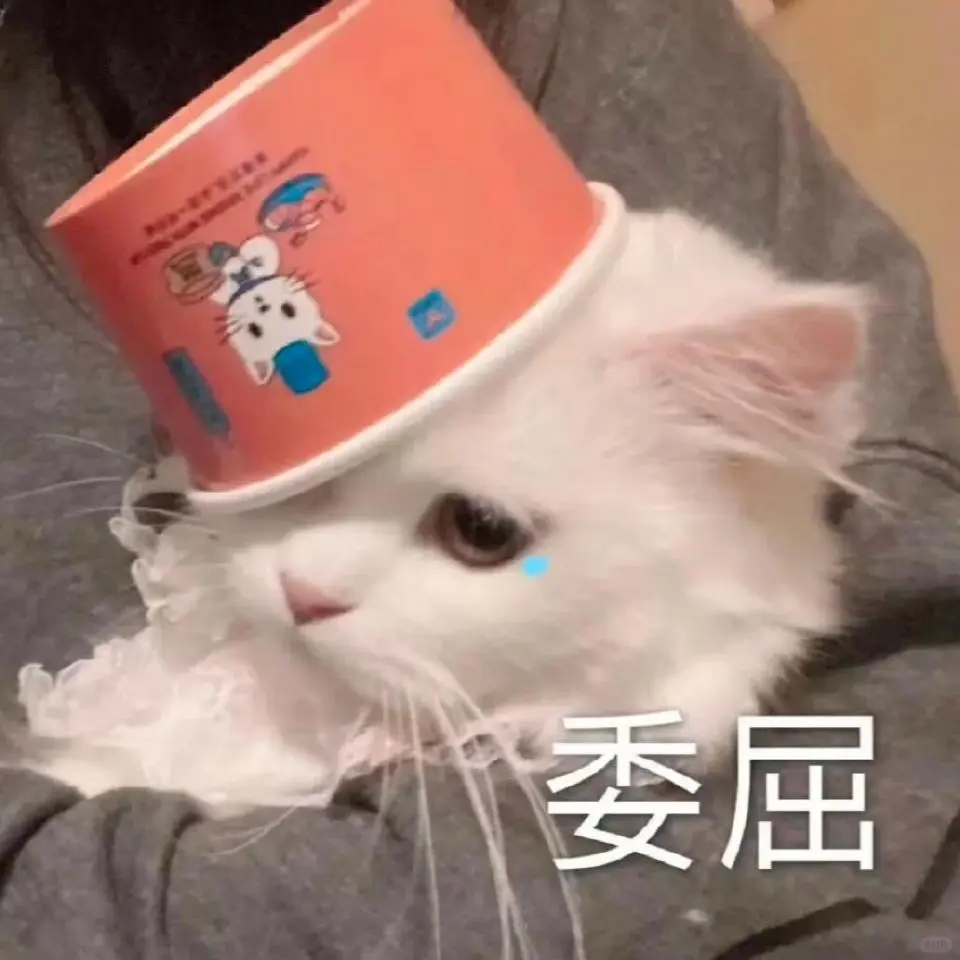 甜甜的猫猫表情包又来啦！