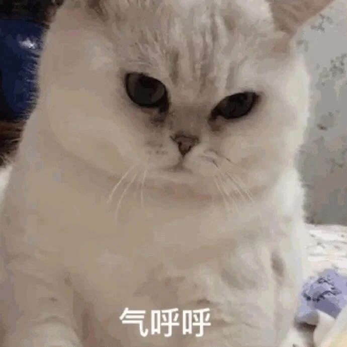 甜甜的猫猫表情包又来啦！
