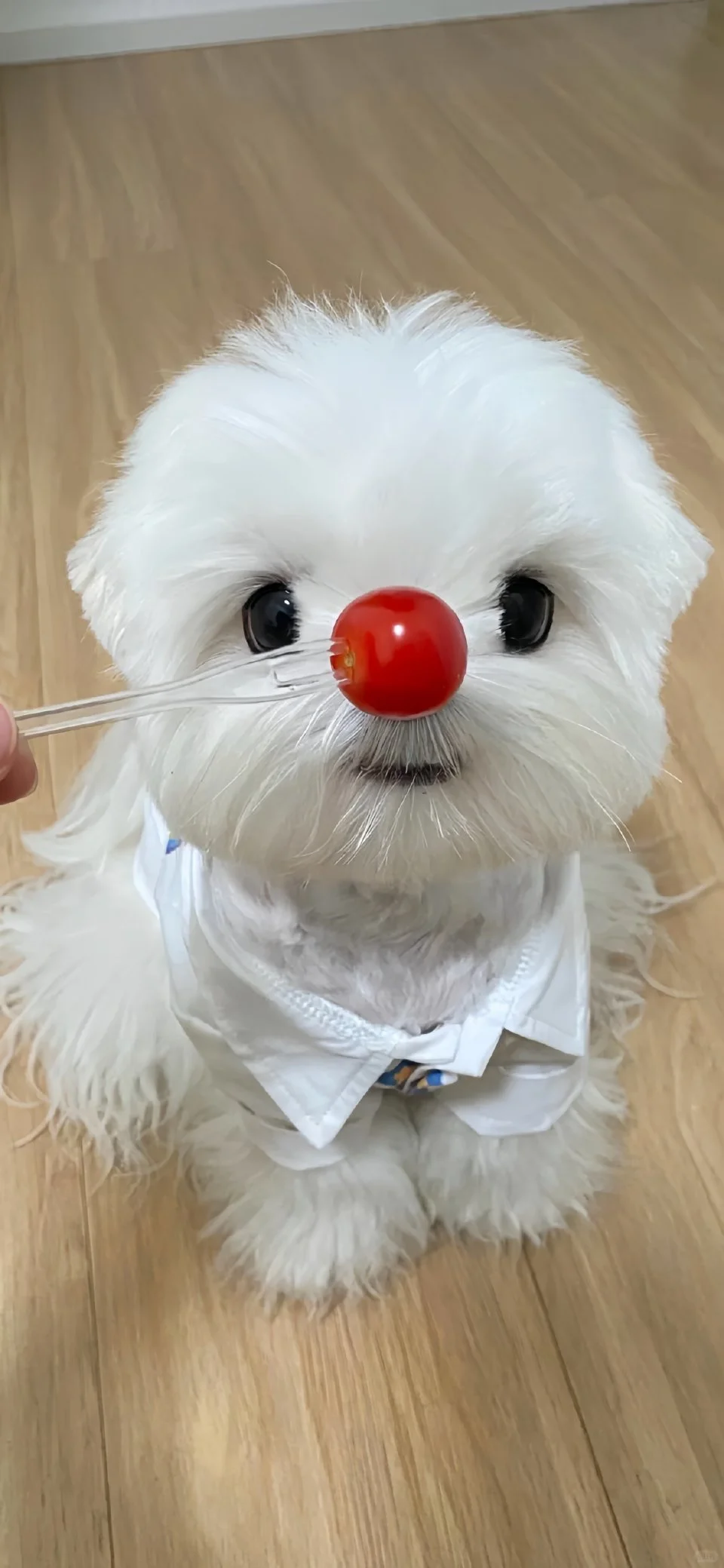 Share🎀ins风壁纸