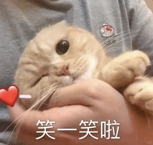 小猫表情包、小猫表情包