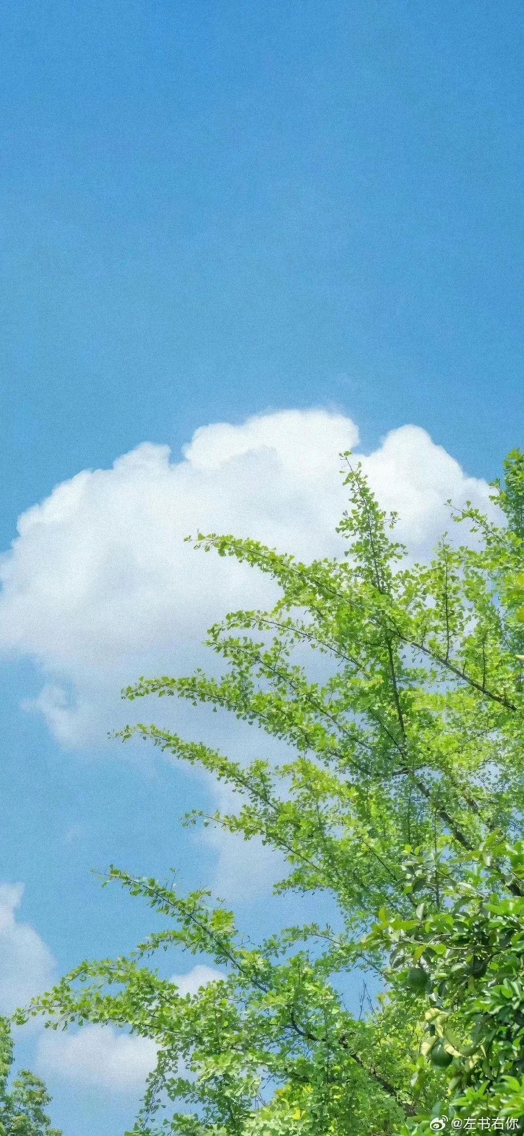 Wallpaper | 超级养眼好看的壁纸~