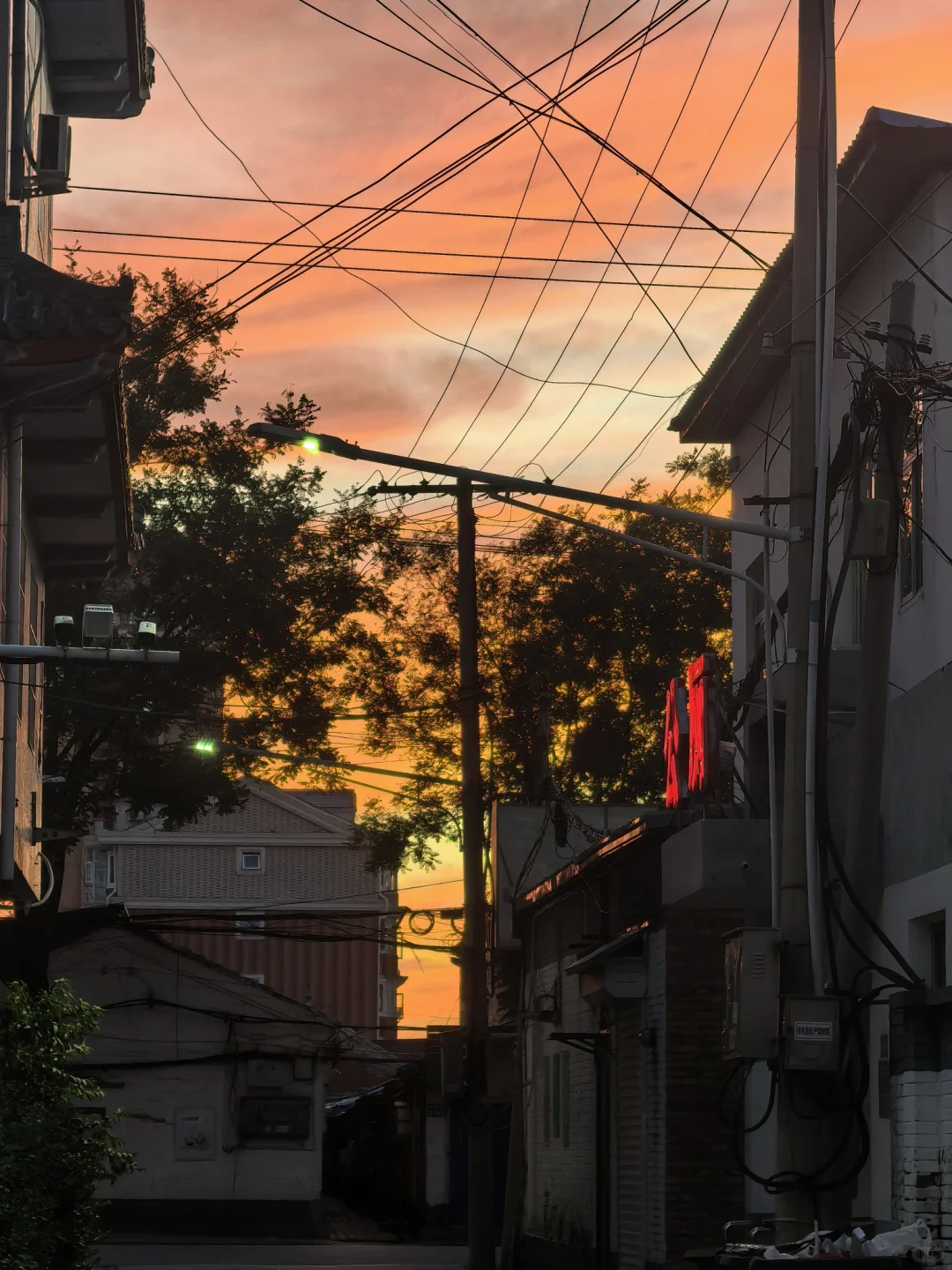 生活小记｜吃饱喝好没烦恼🔁