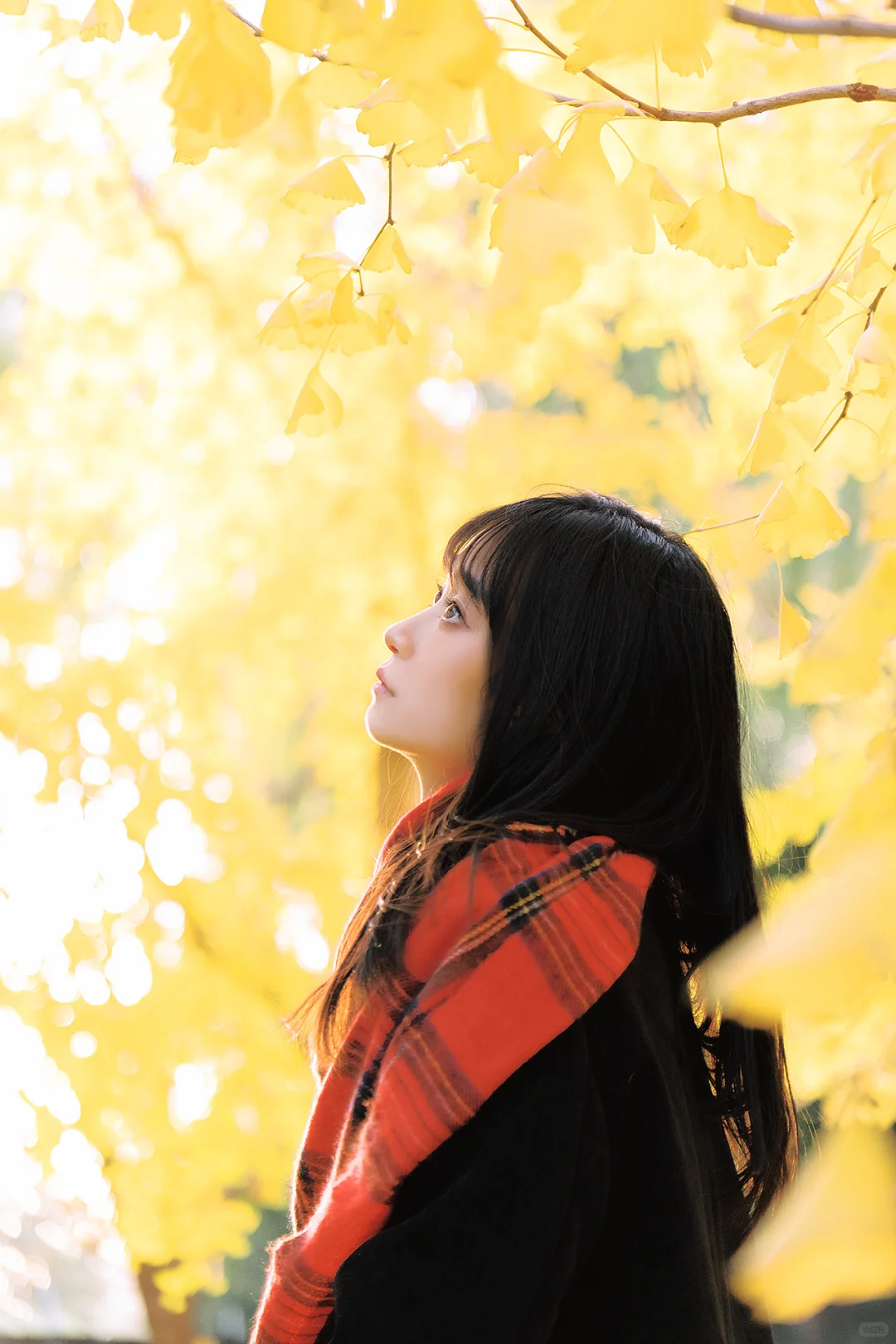 找北京互勉模特