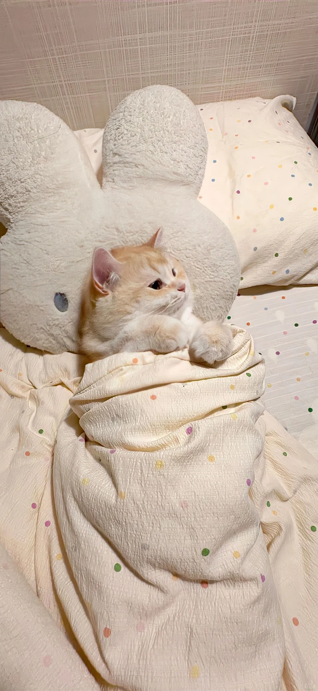 Share/你的新壁纸拍了拍你10.24👏