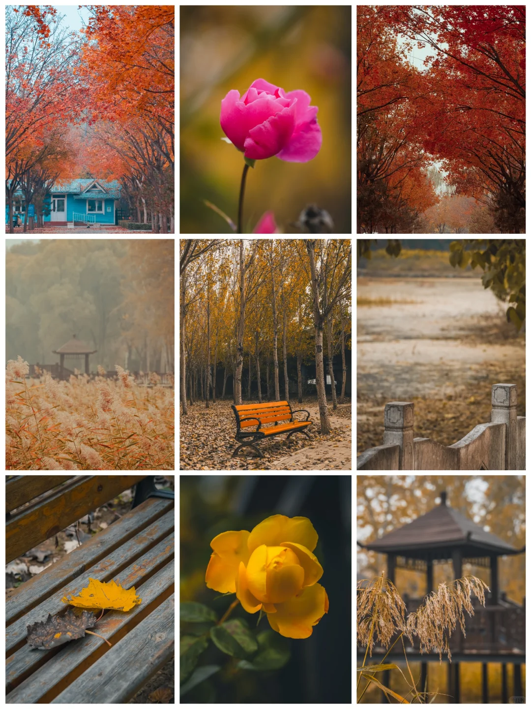 阴天，一份壁纸已送达