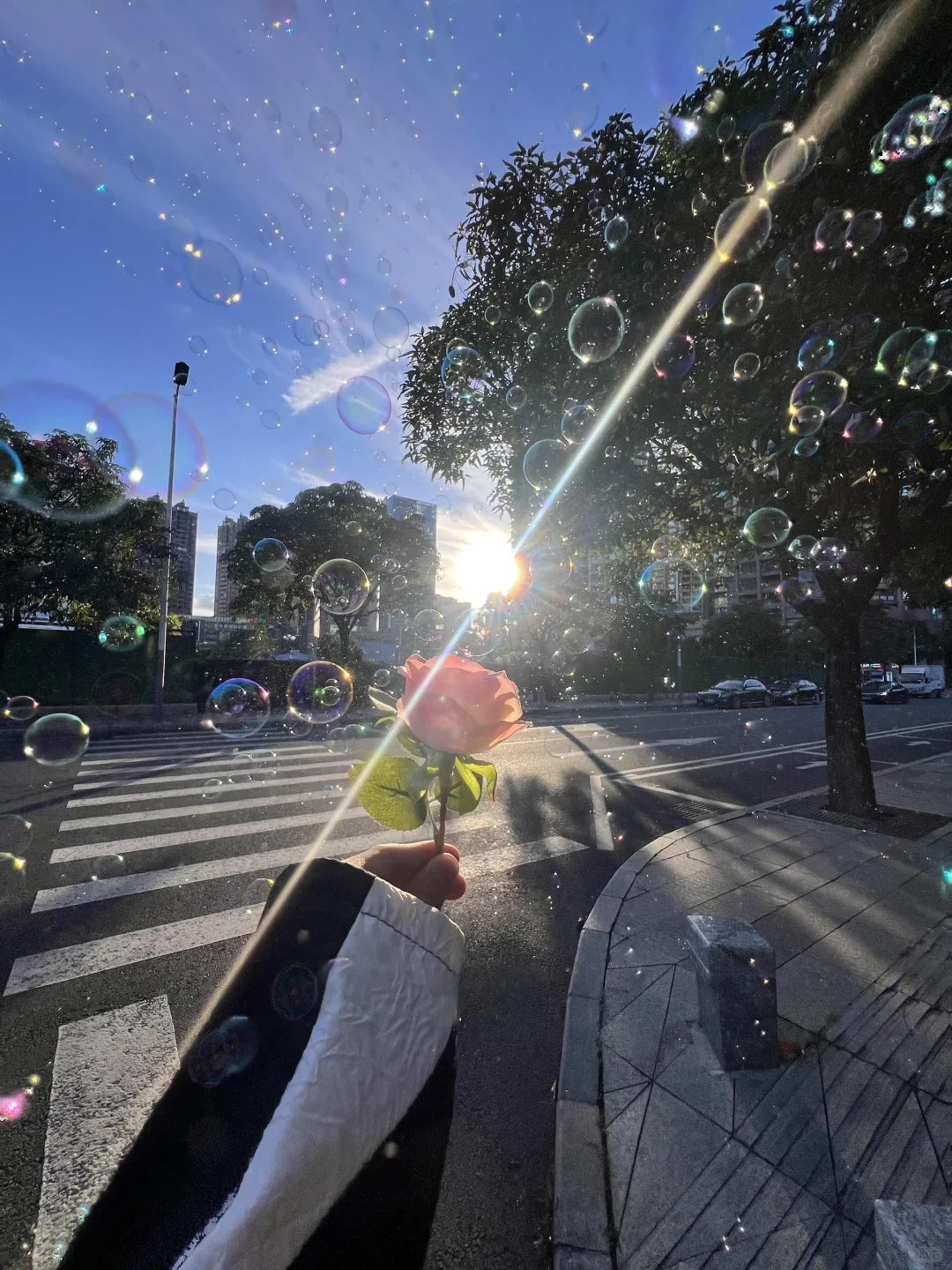 18张爆款live 图 | 高清未使用 喜欢拿