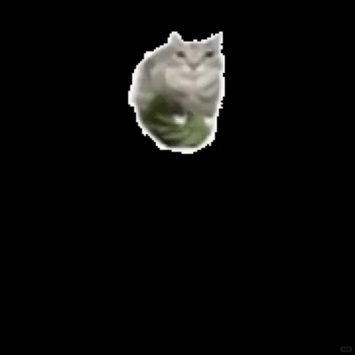 低脂猫猫表情包