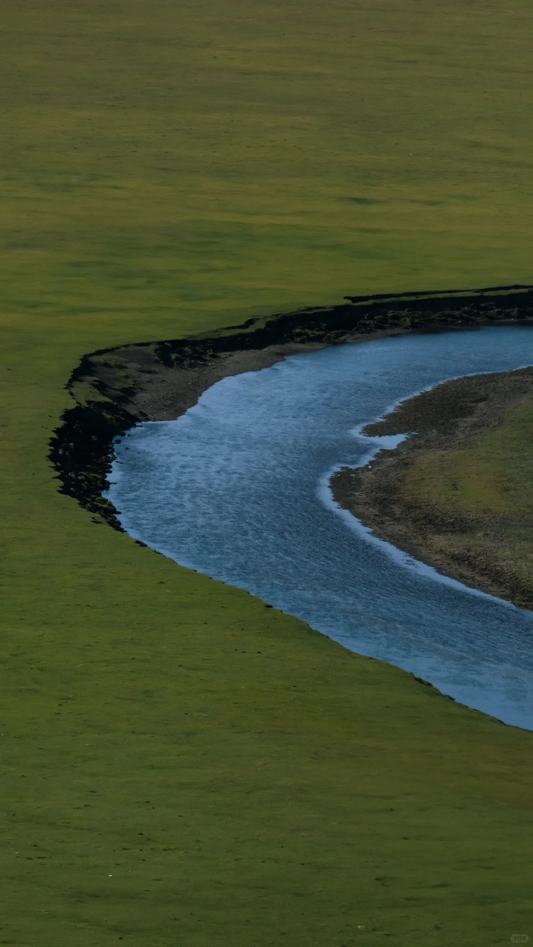 𝗚𝗿𝗲𝗲𝗻 𝗱𝗮𝘆