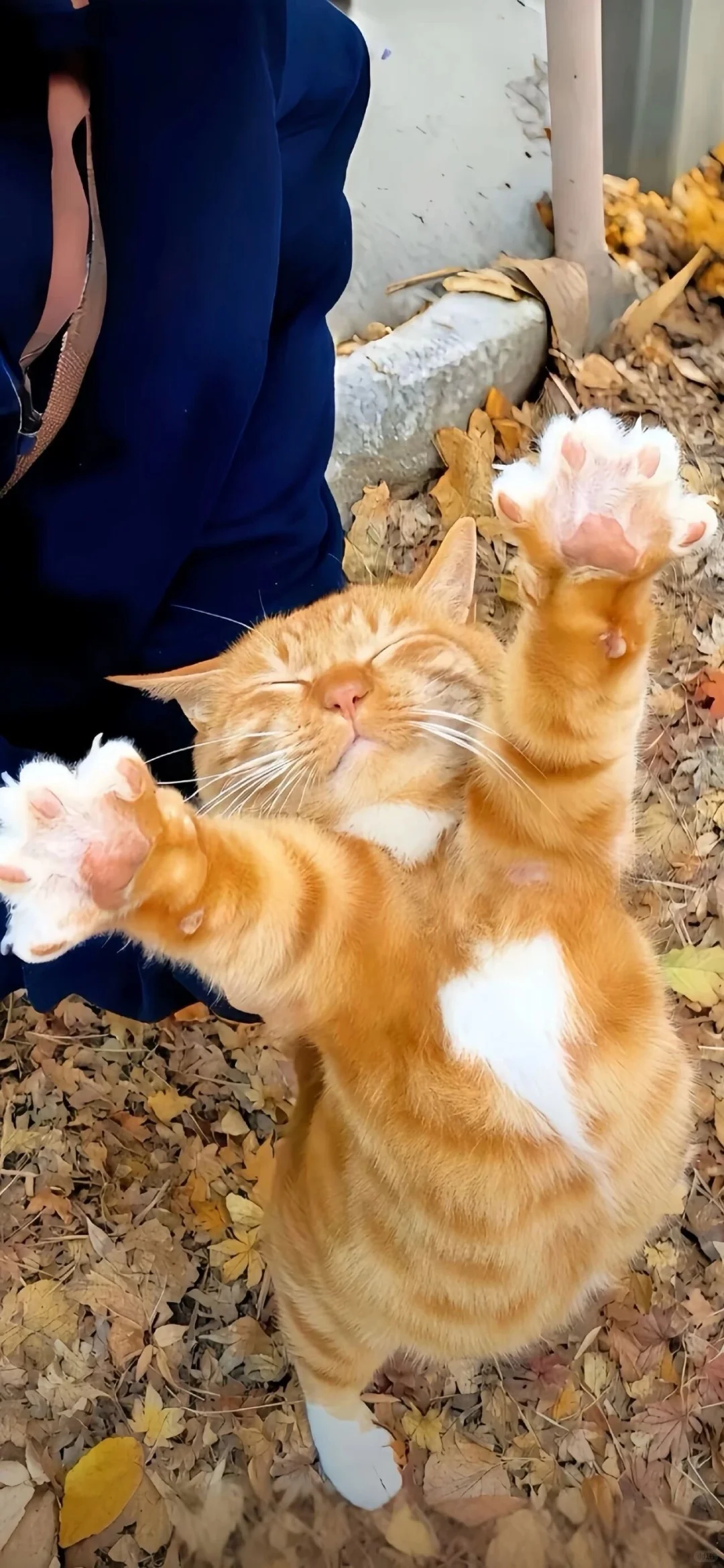 敲喜欢的、氛围感壁纸、治愈系壁纸、敲喜欢的