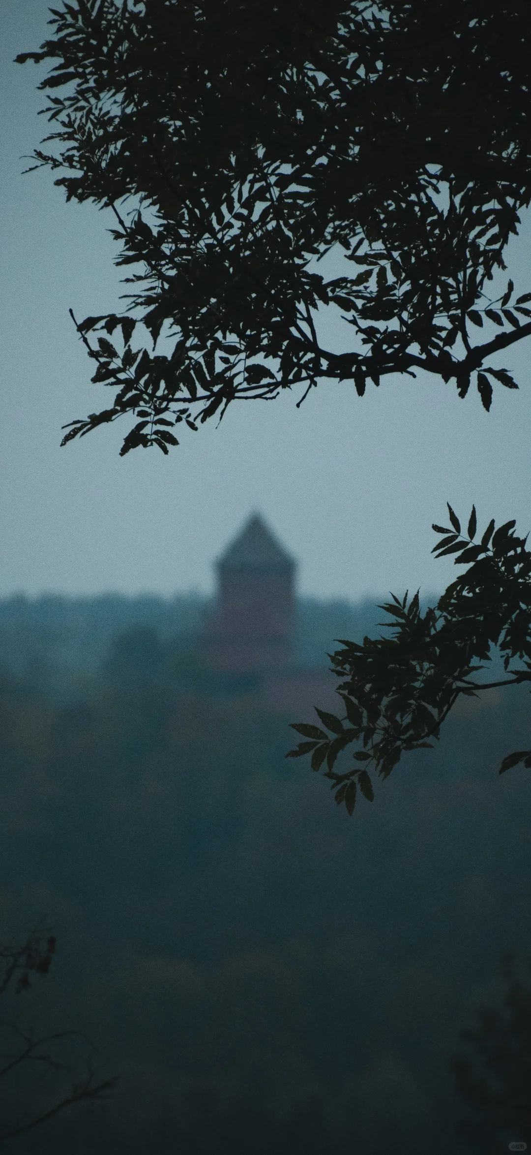 𝙢𝙞𝙨𝙨𝙡𝙮𝙣𝙣丨251107又是一组杂图壁纸