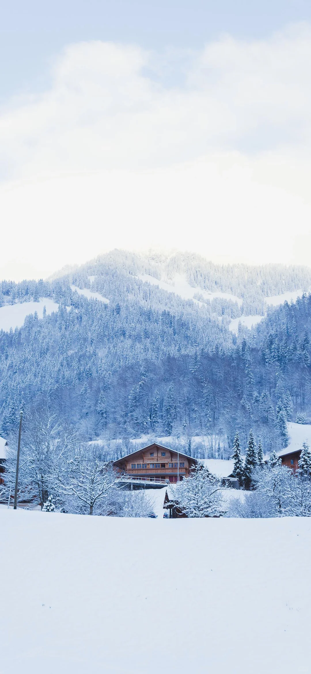 冬天の雪景壁纸❄☃︎ *❆