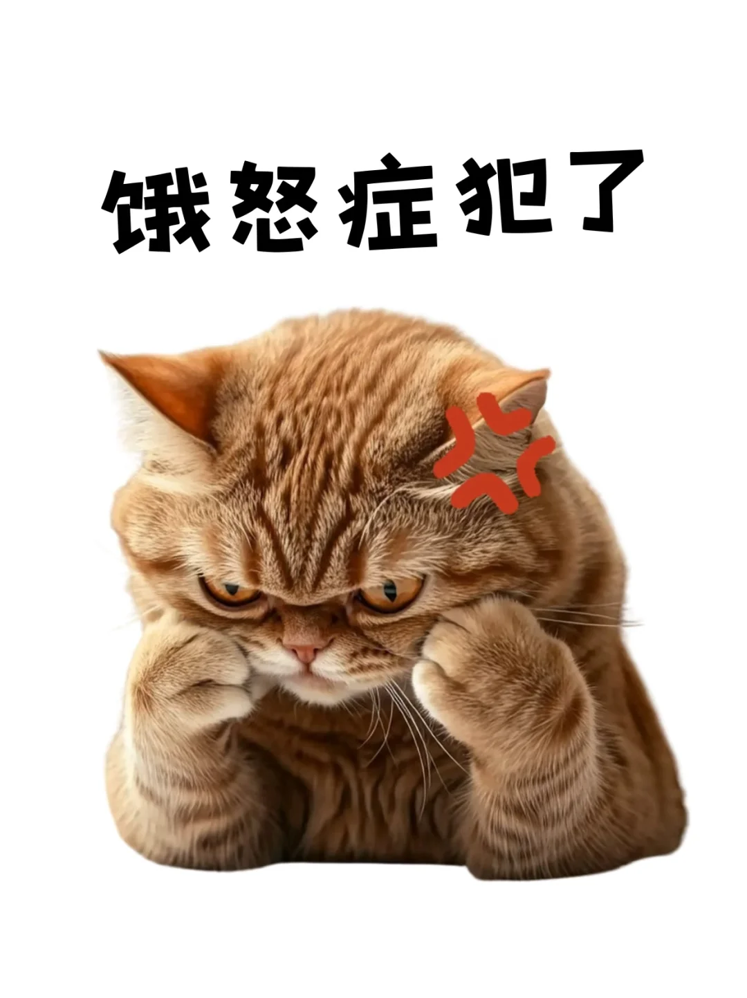 8月热梗表情🔥，马上更新你的新鲜表情