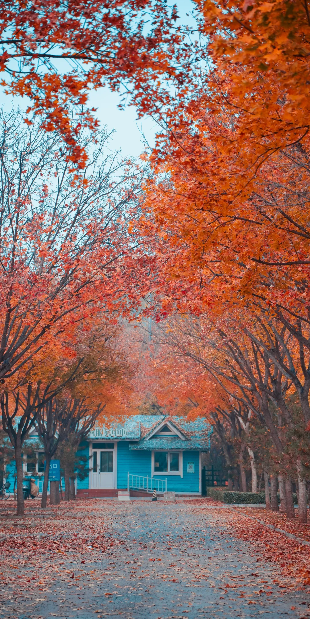 阴天，一份壁纸已送达