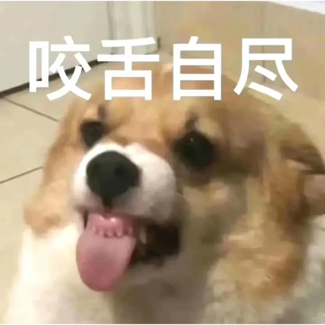 实用表情包5.0｜近期爱用分享