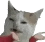 表情包/跟让你快乐的人在一起友谊爱情都是