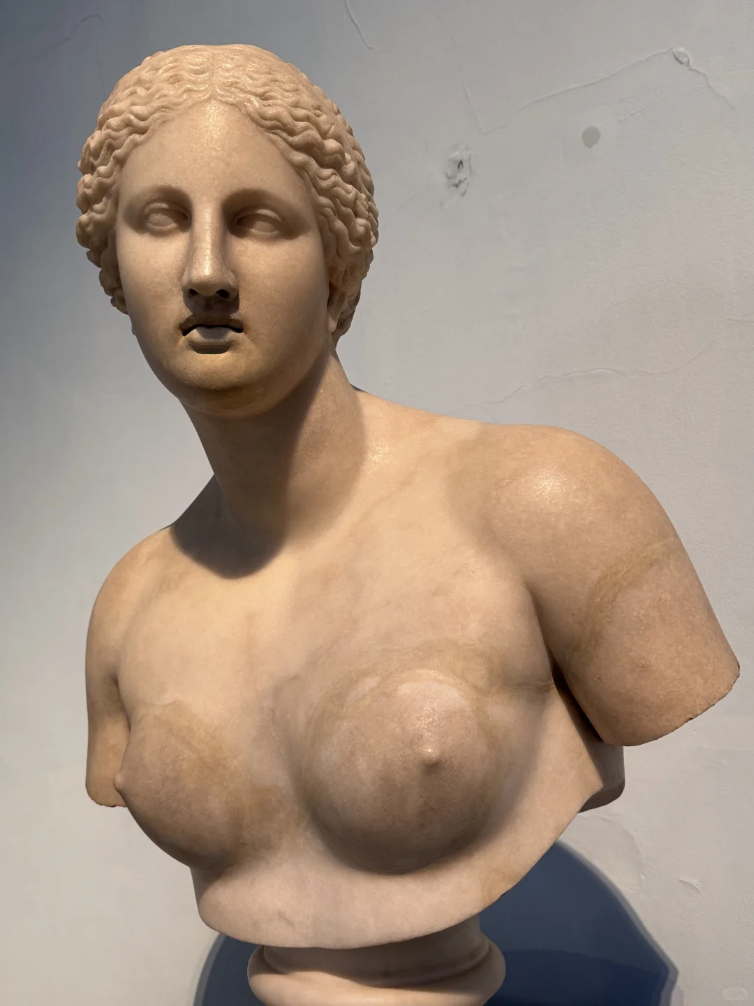 在伦敦见到的阿芙洛蒂忒（维纳斯）