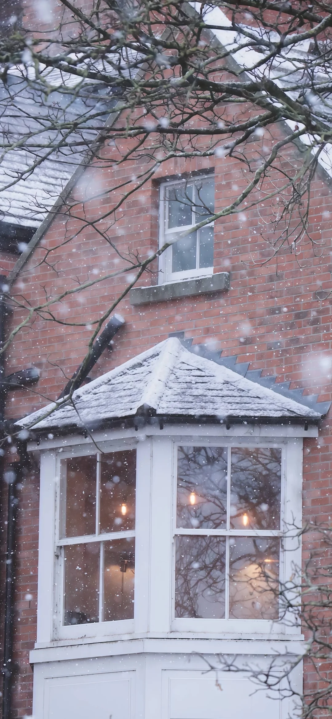 “啊 好美的一张壁纸!!!”