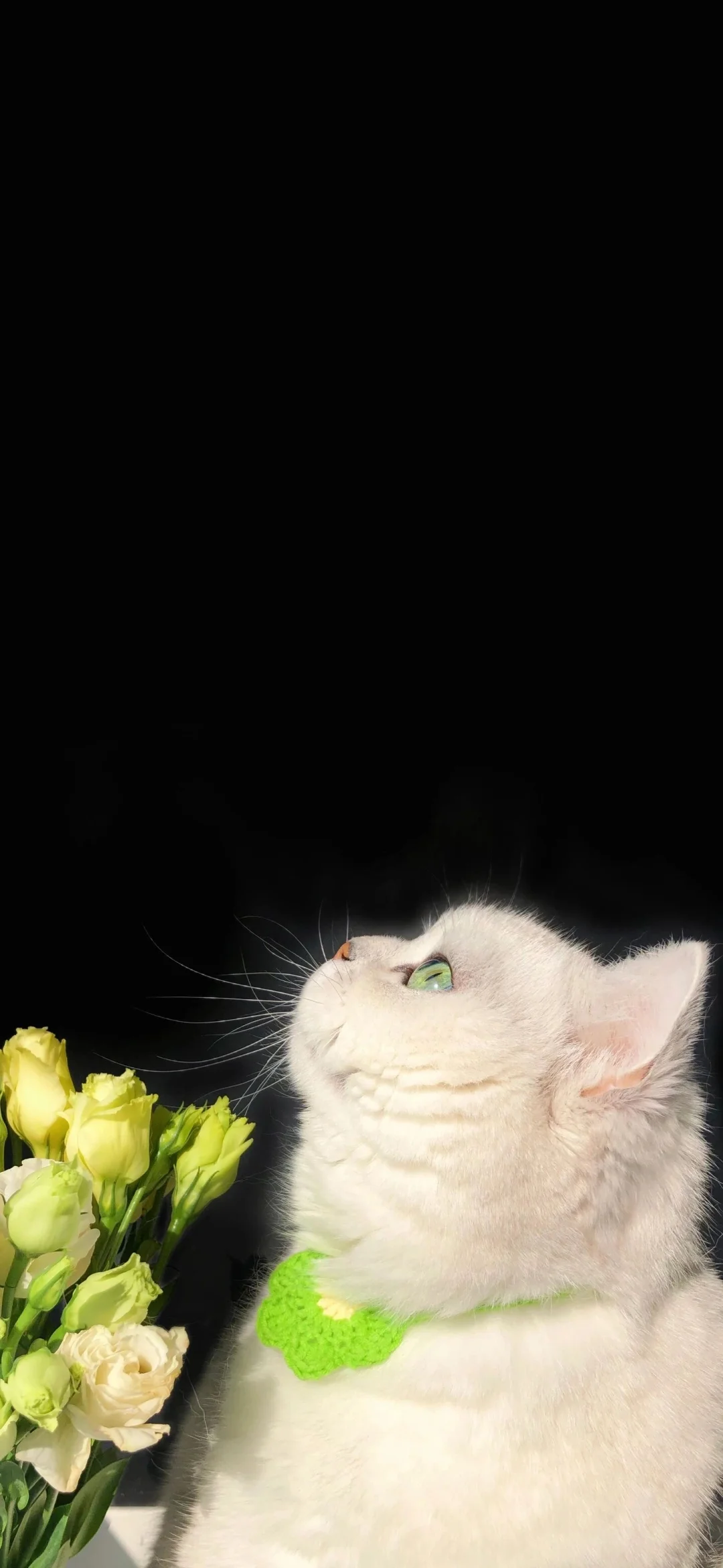 敲喜欢的、氛围感壁纸、治愈系壁纸、敲喜欢的