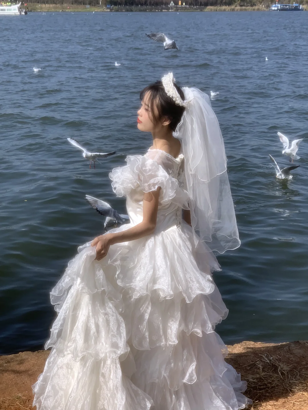 海鸥与婚纱共舞🕊️昆明约拍 昆明海鸥写真