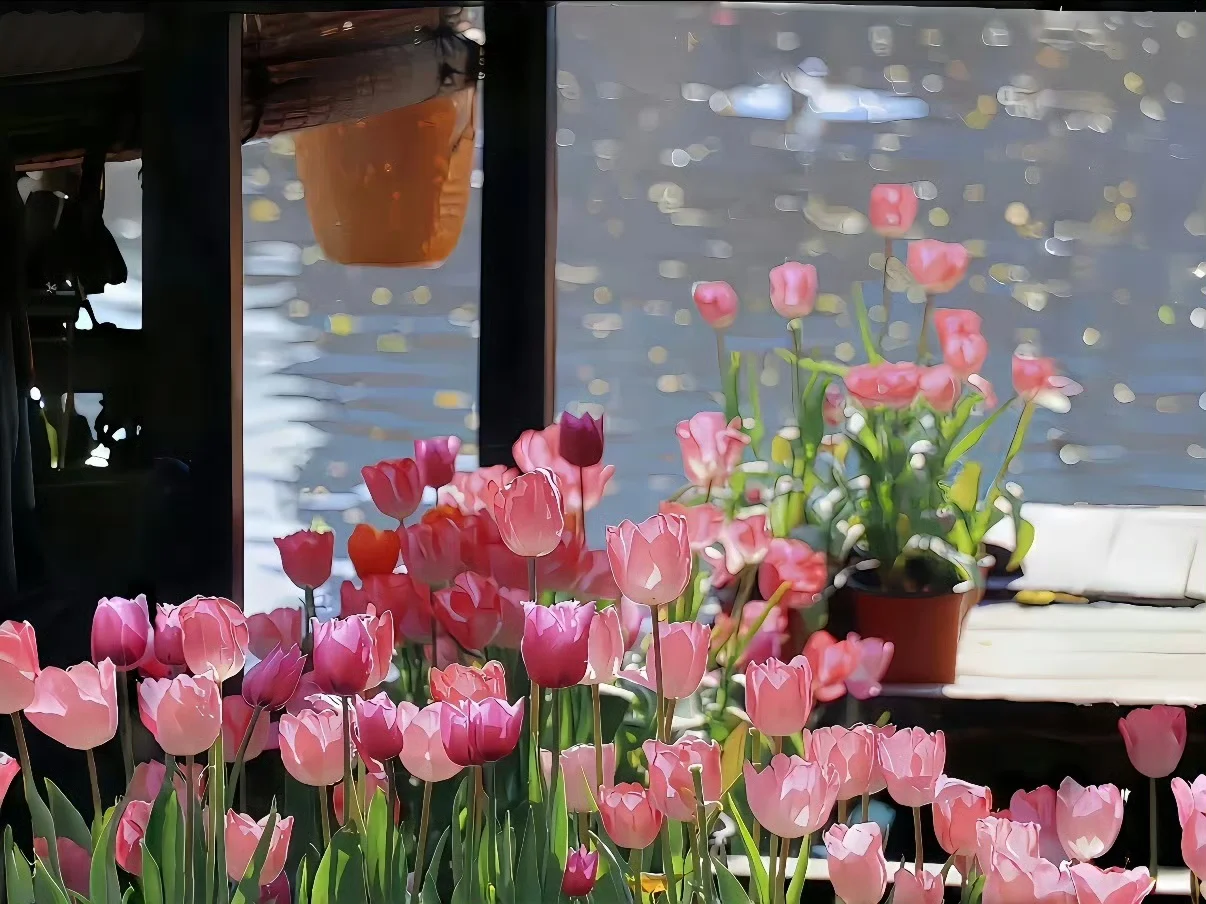 𝑺𝒉𝒂𝒓𝒆粉色🌷壁纸