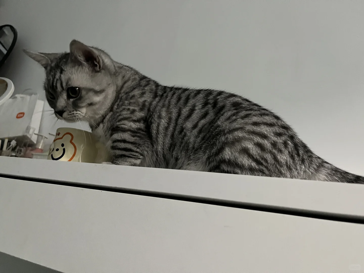 气血方刚的女子🧍‍♀️