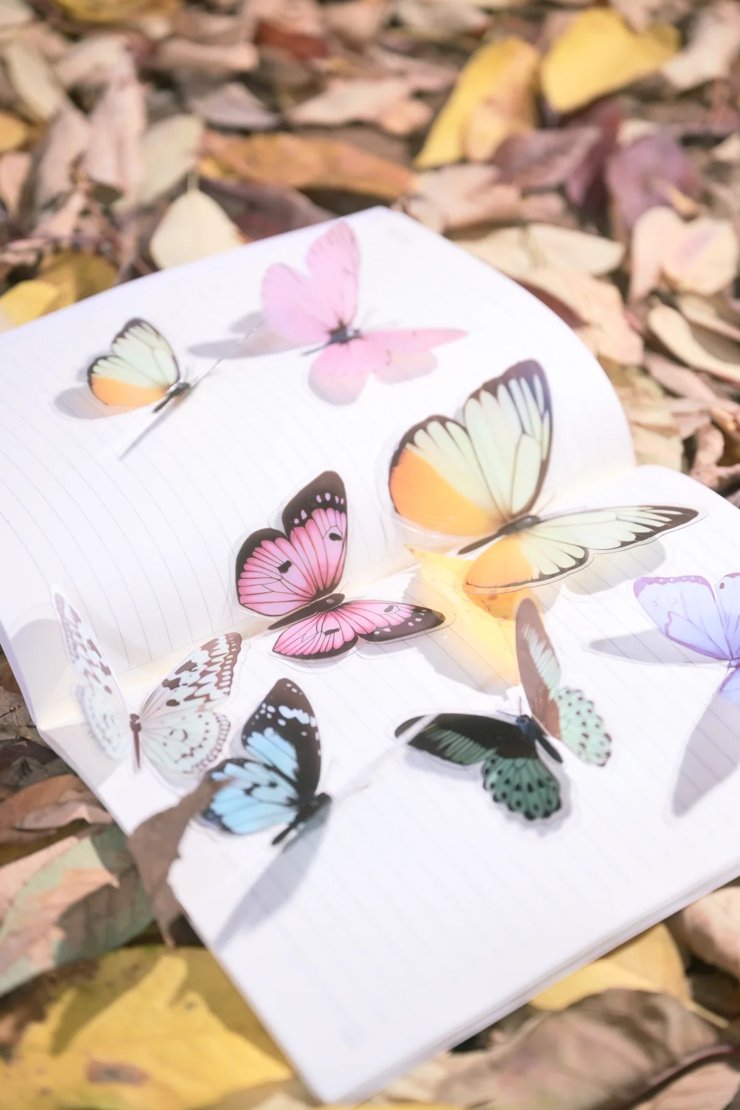 “最后一抹黄是写给冬天的序章”