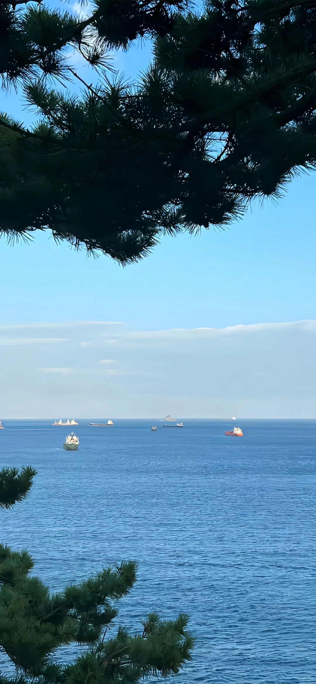 share丨秋日壁纸推荐10.29