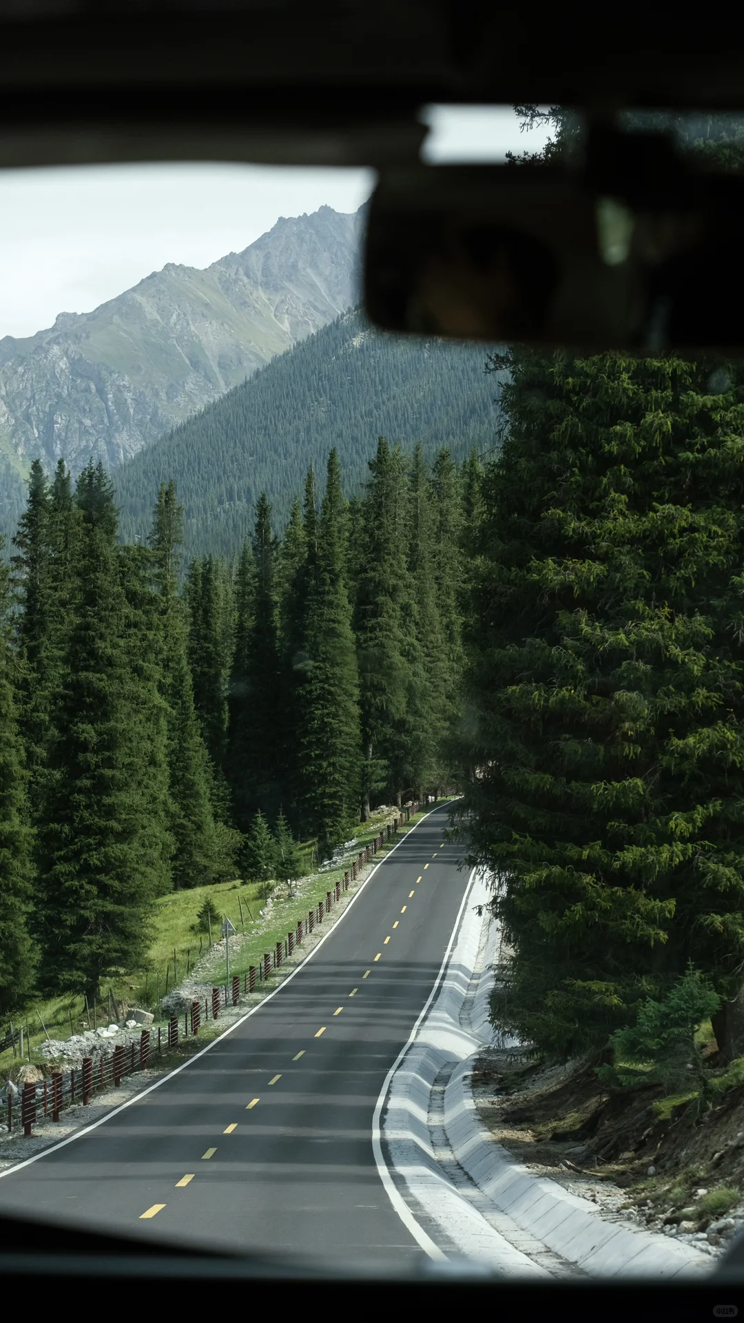 𝗚𝗿𝗲𝗲𝗻 𝗱𝗮𝘆